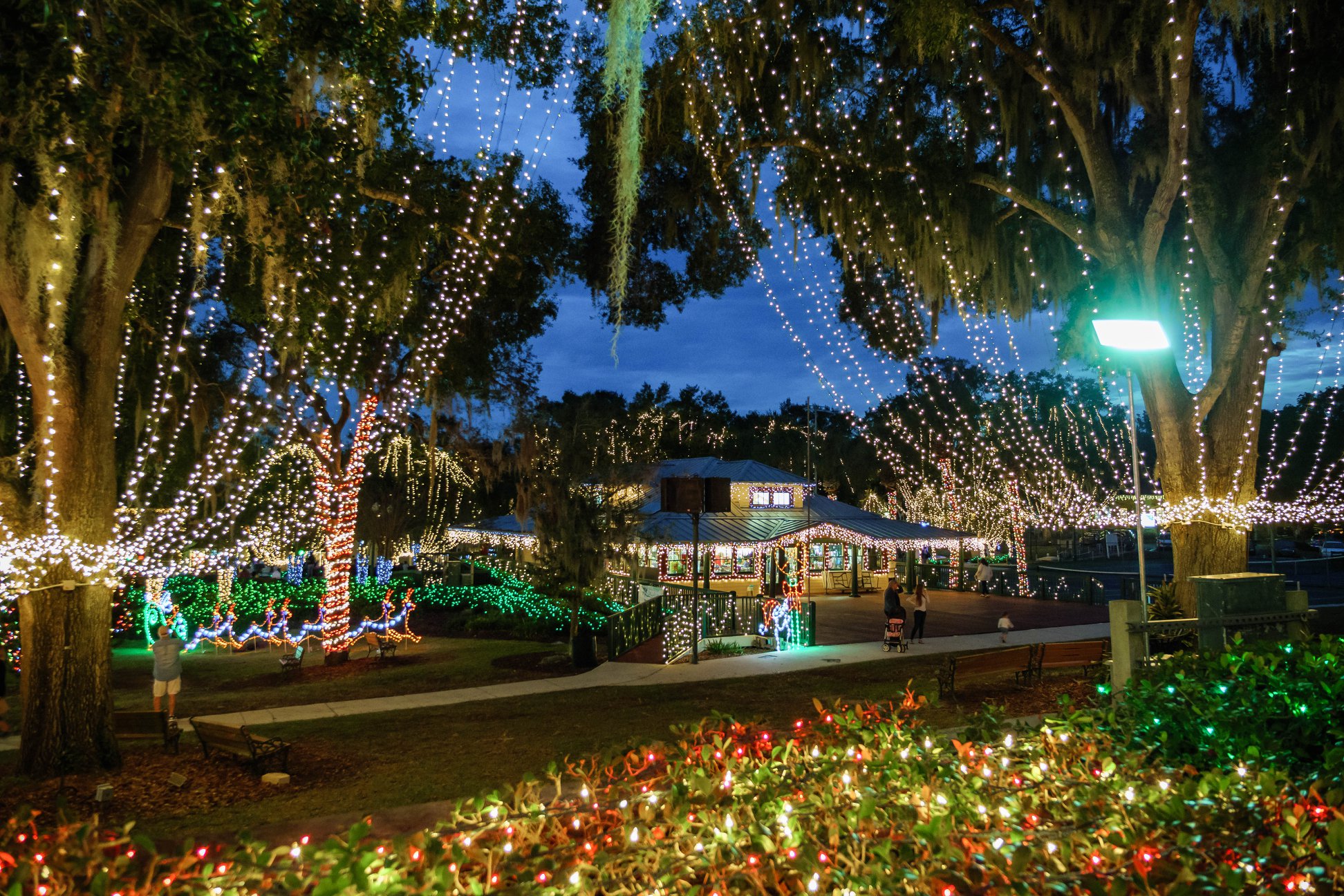Mount Dora Christmas Lights