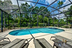 South Facing Pool