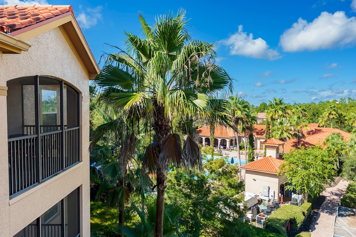 View of the Clubhouse Pool