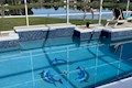 Enjoy a swim with the dolphins