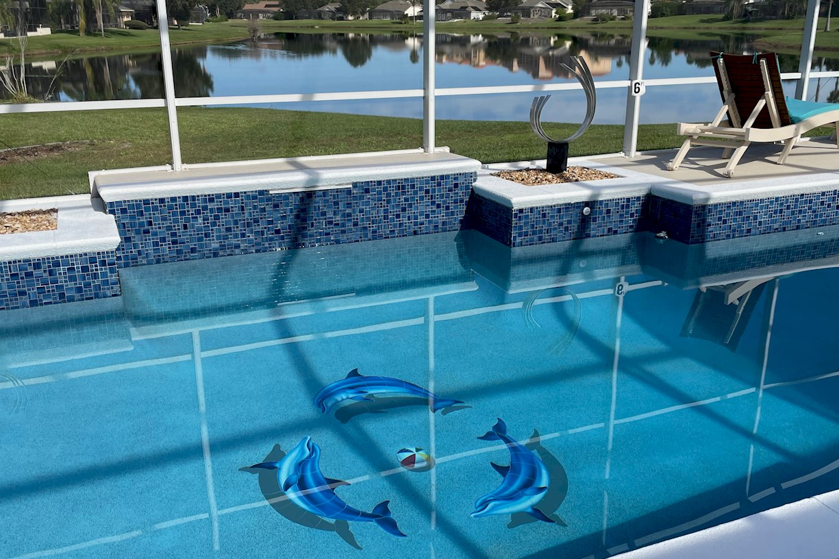 Enjoy a swim with the dolphins