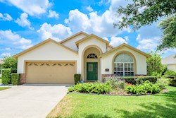 Orange Tree Vacation Rental