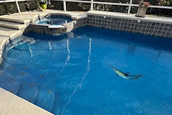 South Facing Pool & Spa
