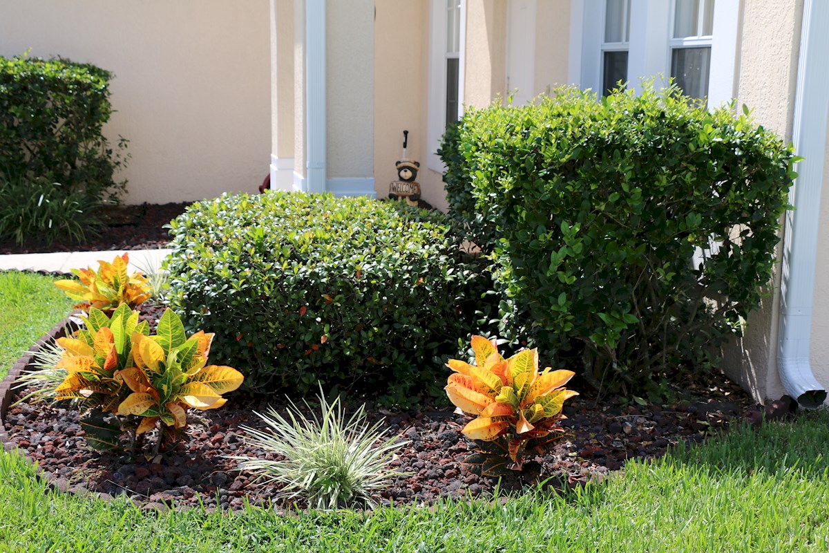 Front garden