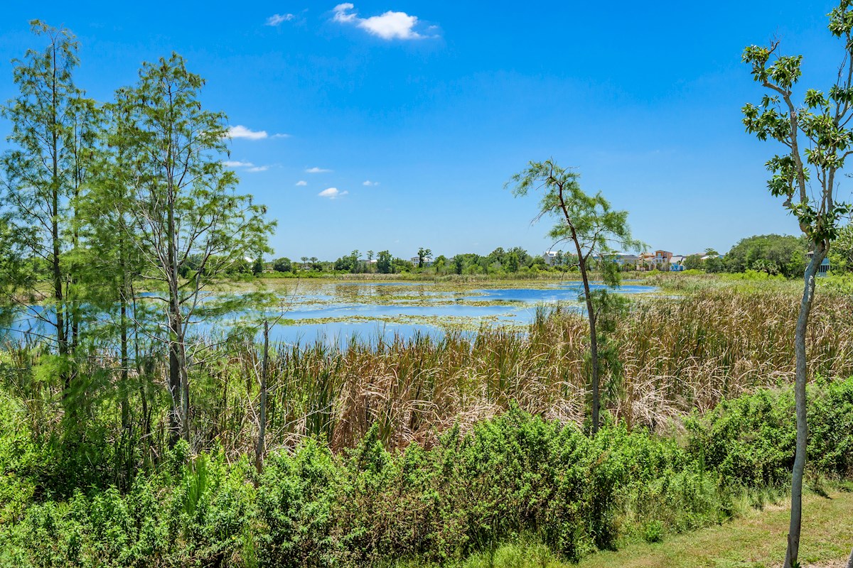 Lake View
