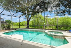 Pool and Spa