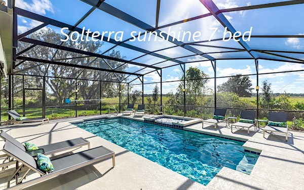 South facing pool with meadow views