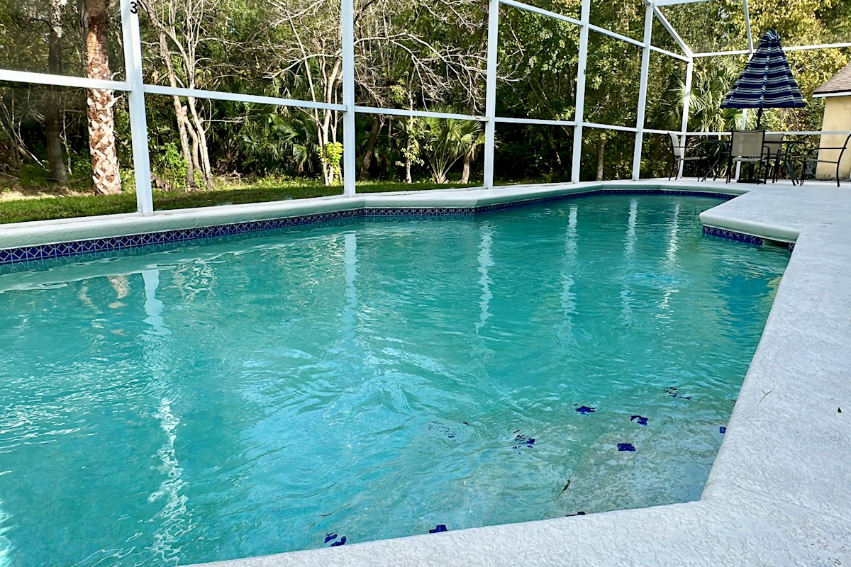 Pool Area